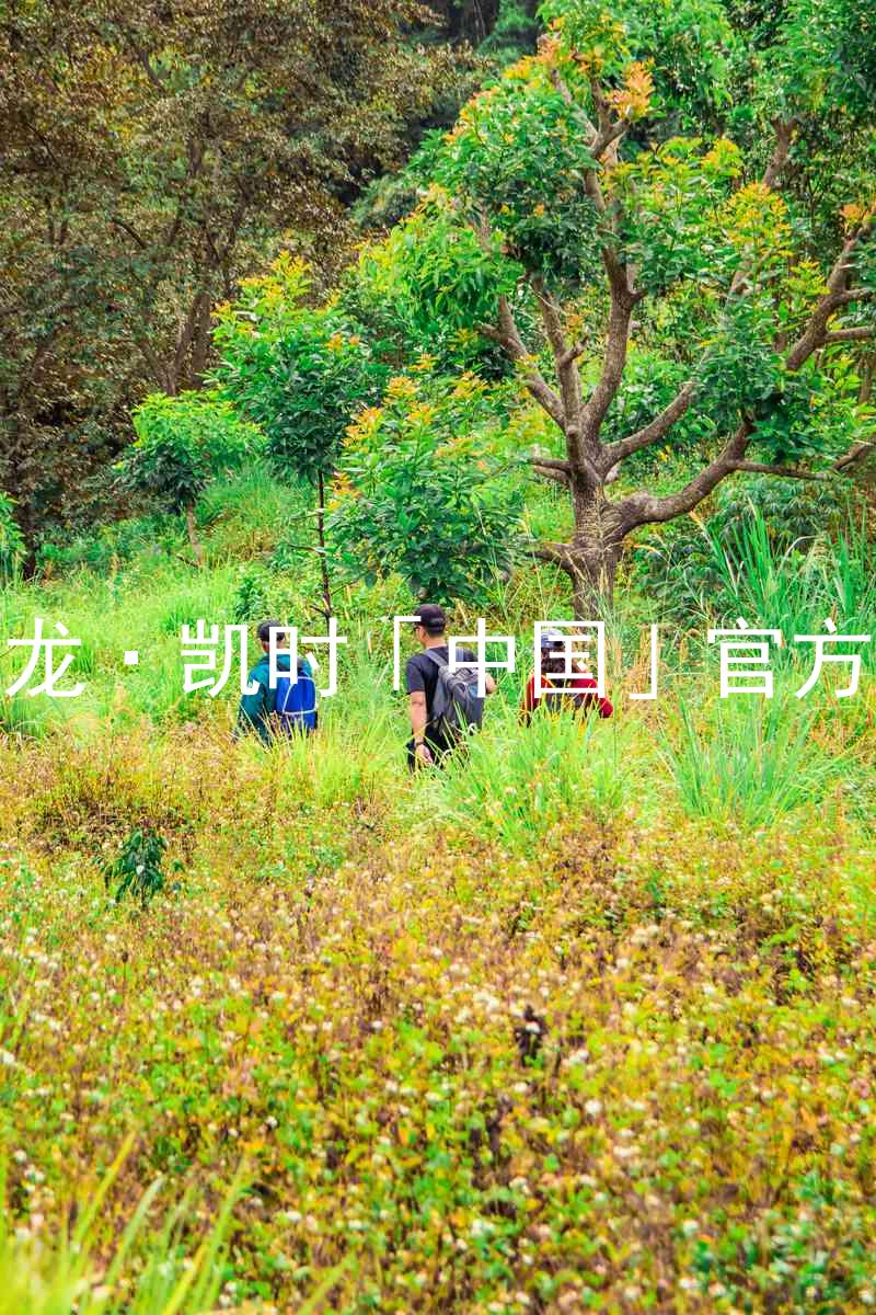 Z6尊龙·凯时「中国」官方网站